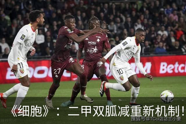 《细胞》：二甲双胍减重新机制！斯坦福团队首次发现，肠道转运蛋白MCT6是关键所在