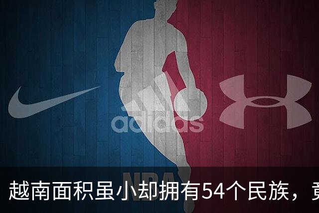 越南面积虽小却拥有54个民族，竟还将中国汉族分成三个民族？