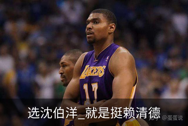 选沈伯洋 就是挺赖清德